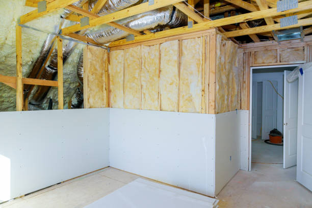 Best Insulation Repair Services  in Cloverleaf, TX