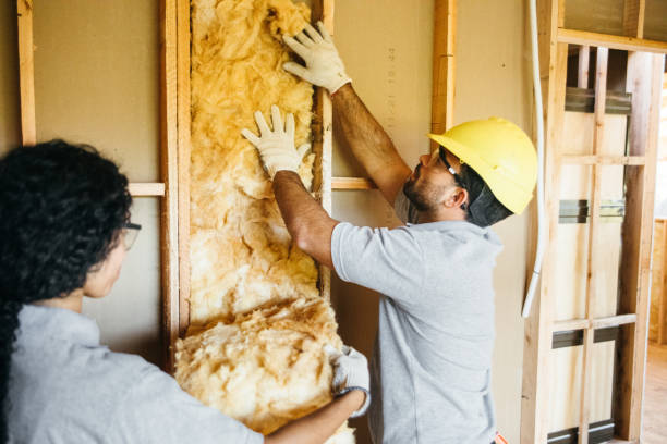 Best Insulation Repair Services  in Cloverleaf, TX