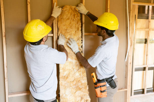 Best Insulation Contractor Near Me  in Cloverleaf, TX