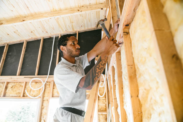 Professional Insulation Contractor in Cloverleaf, TX