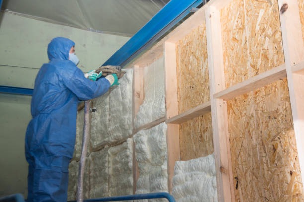 Insulation Contractors for Homes in Cloverleaf, TX