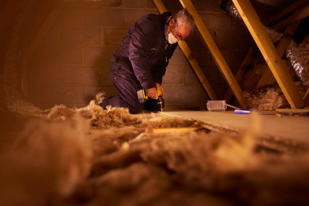 Best Attic Insulation Installation  in Cloverleaf, TX