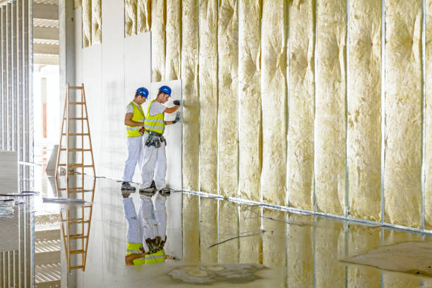 Best Blown-in Insulation  in Cloverleaf, TX